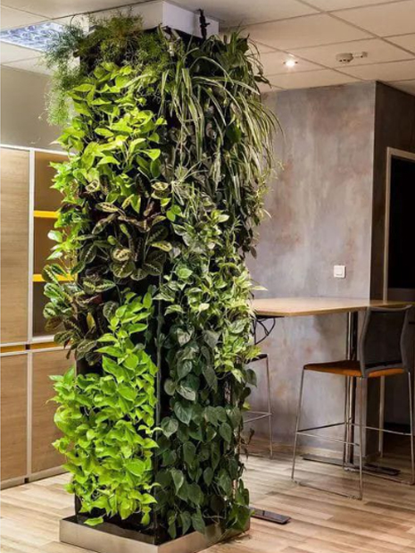 best vertical garden design, Meerut vertical garden design, vertical garden agency in Meerut, top vertical garden company Meerut, best vertical garden services Meerut