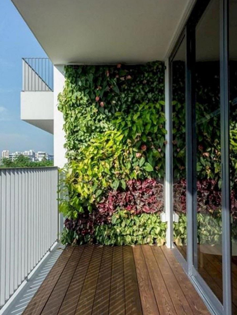 best vertical garden design, Meerut vertical garden design, vertical garden agency in Meerut, top vertical garden company Meerut, best vertical garden services Meerut