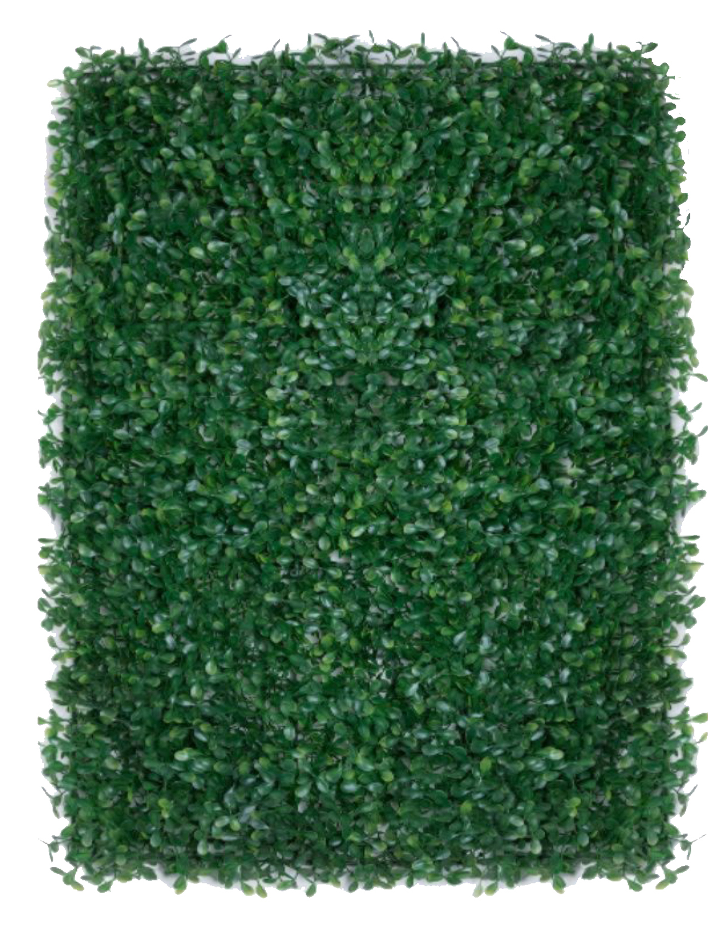 best vertical garden design, Meerut vertical garden design, vertical garden agency in Meerut, top vertical garden company Meerut, best vertical garden services Meerut