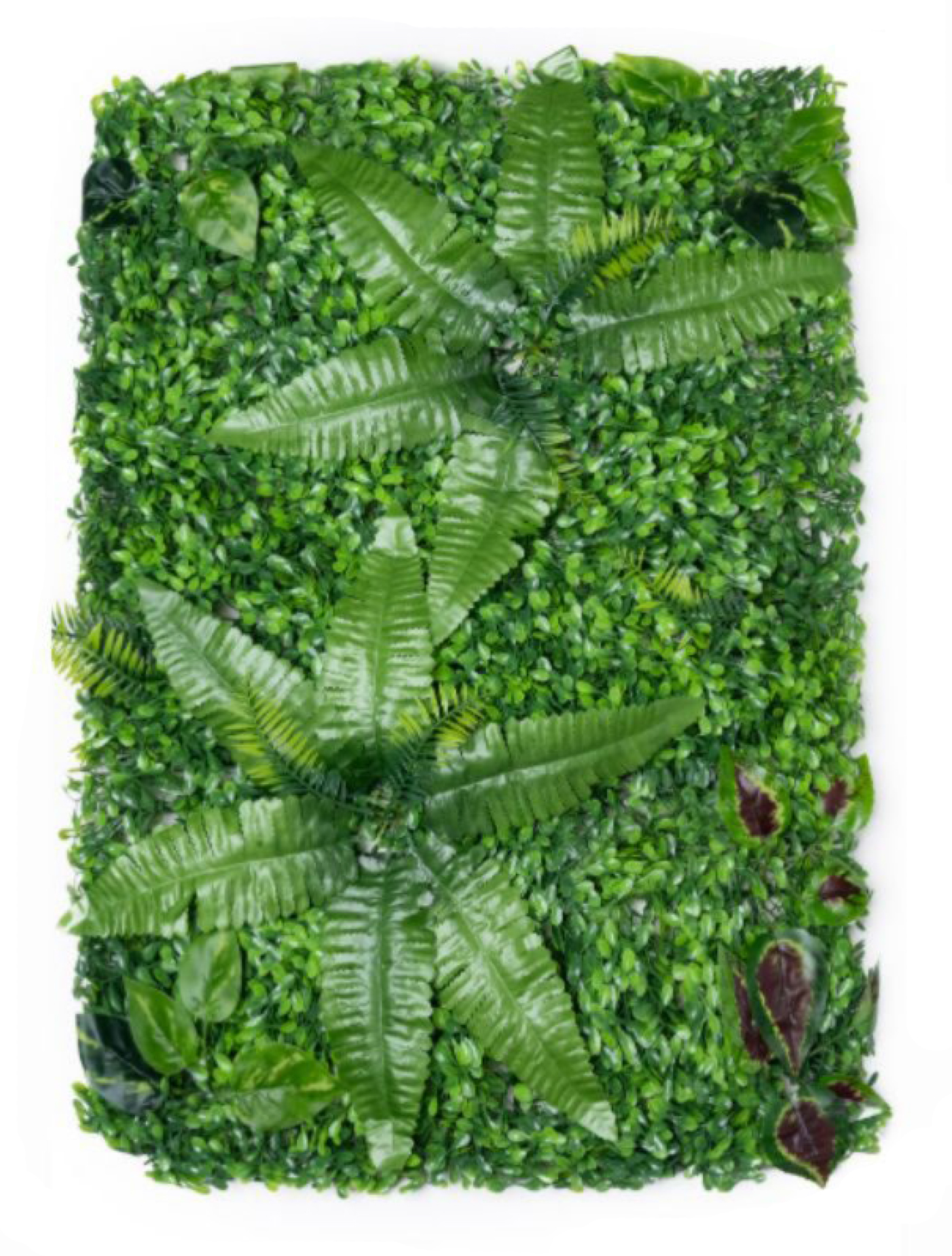 best vertical garden design, Meerut vertical garden design, vertical garden agency in Meerut, top vertical garden company Meerut, best vertical garden services Meerut