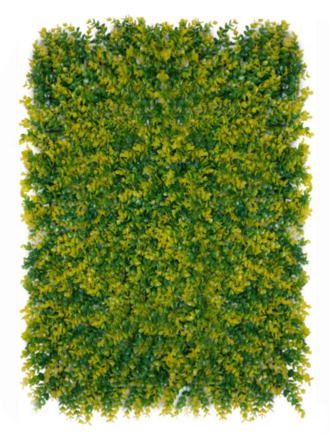 best vertical garden design, Meerut vertical garden design, vertical garden agency in Meerut, top vertical garden company Meerut, best vertical garden services Meerut