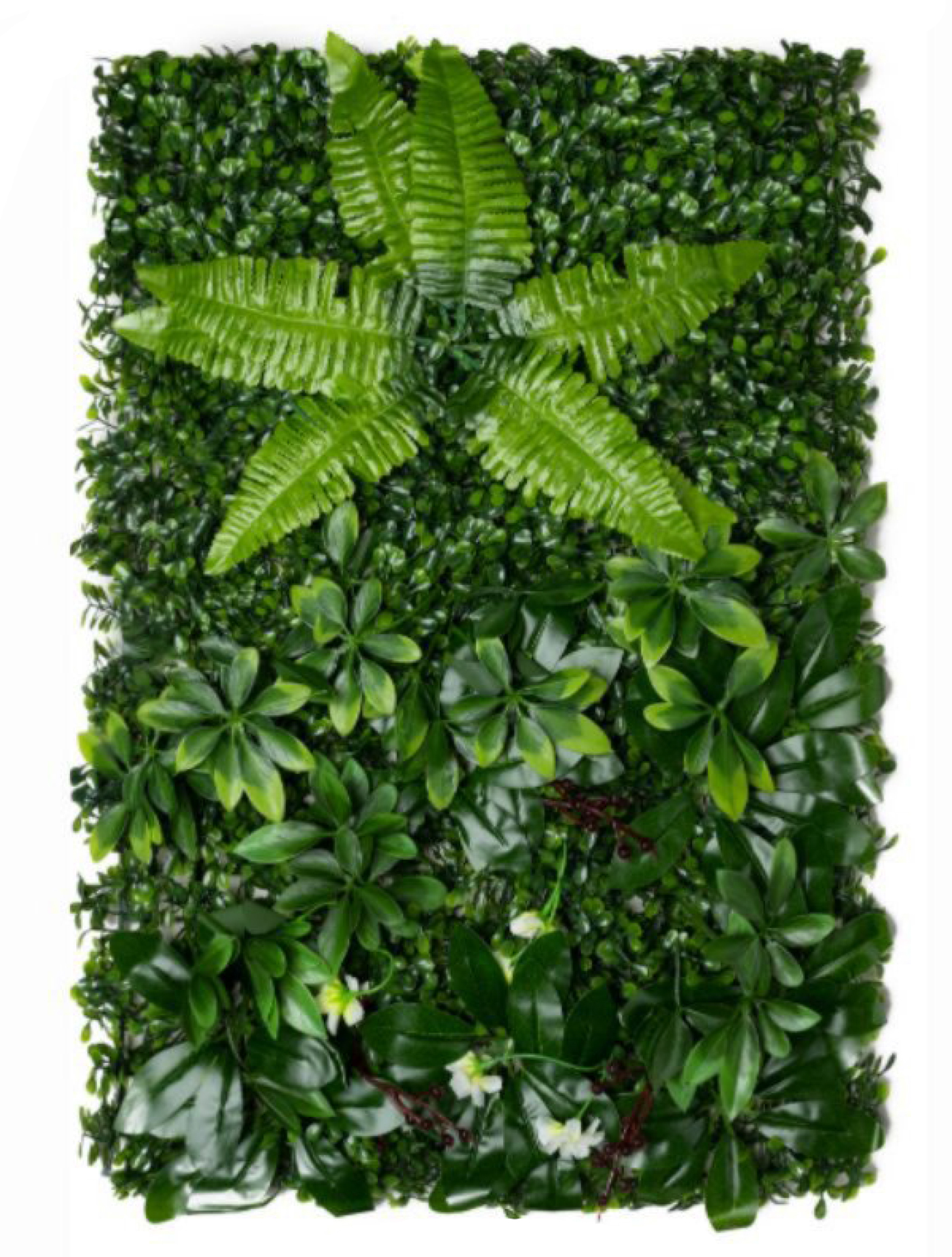 best vertical garden design, Meerut vertical garden design, vertical garden agency in Meerut, top vertical garden company Meerut, best vertical garden services Meerut