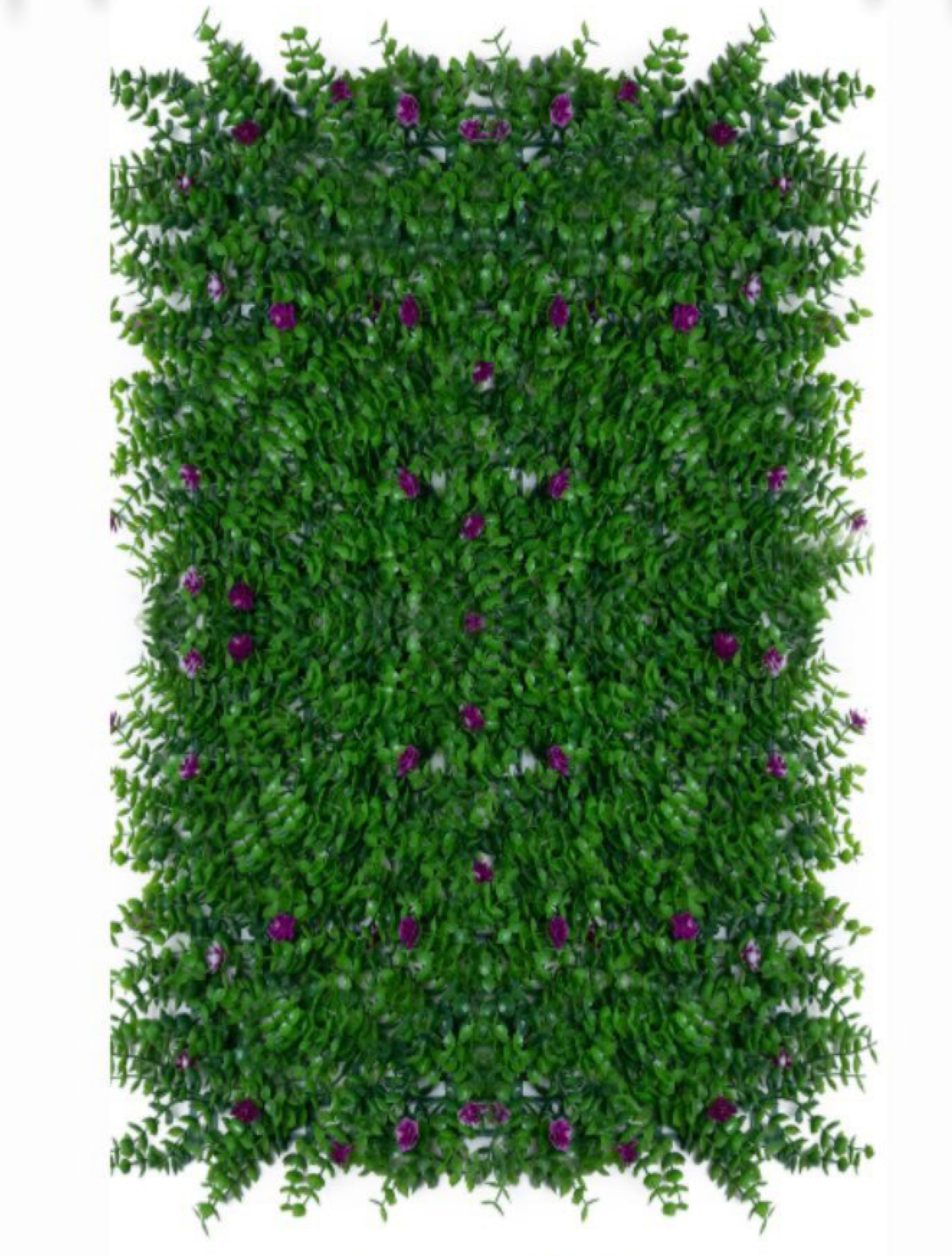 best vertical garden design, Meerut vertical garden design, vertical garden agency in Meerut, top vertical garden company Meerut, best vertical garden services Meerut
