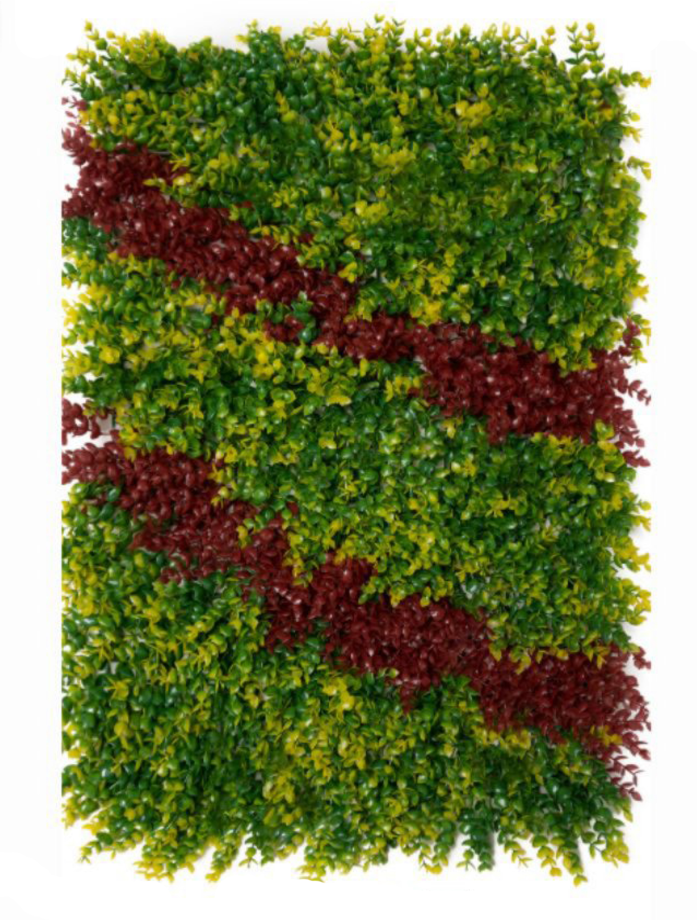 best vertical garden design, Meerut vertical garden design, vertical garden agency in Meerut, top vertical garden company Meerut, best vertical garden services Meerut