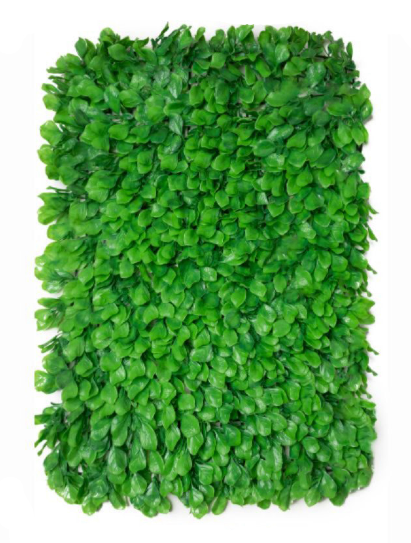 best vertical garden design, Meerut vertical garden design, vertical garden agency in Meerut, top vertical garden company Meerut, best vertical garden services Meerut