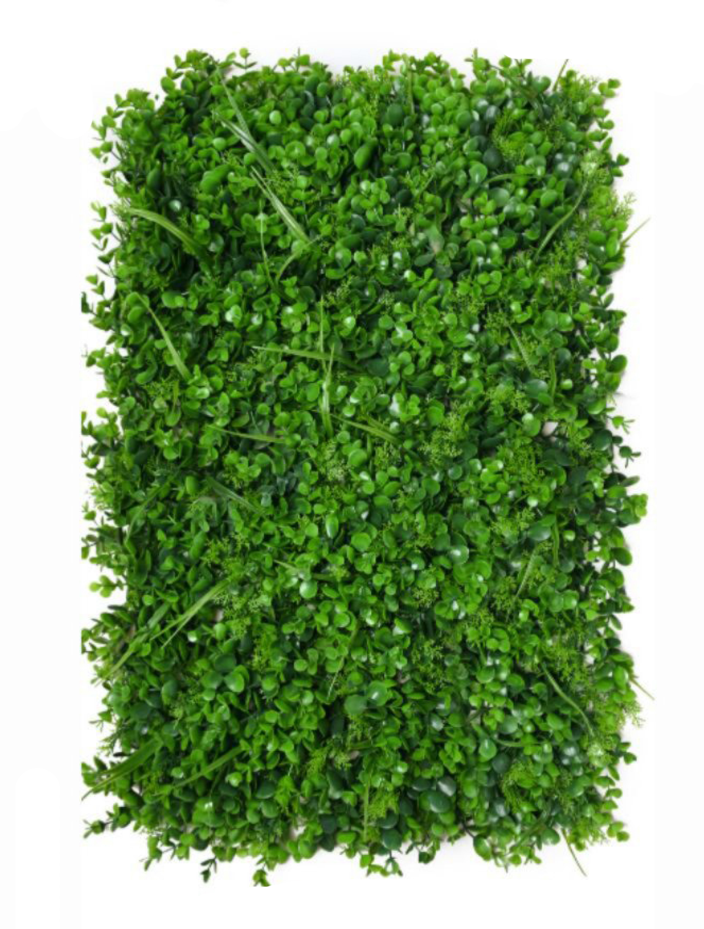 best vertical garden design, Meerut vertical garden design, vertical garden agency in Meerut, top vertical garden company Meerut, best vertical garden services Meerut