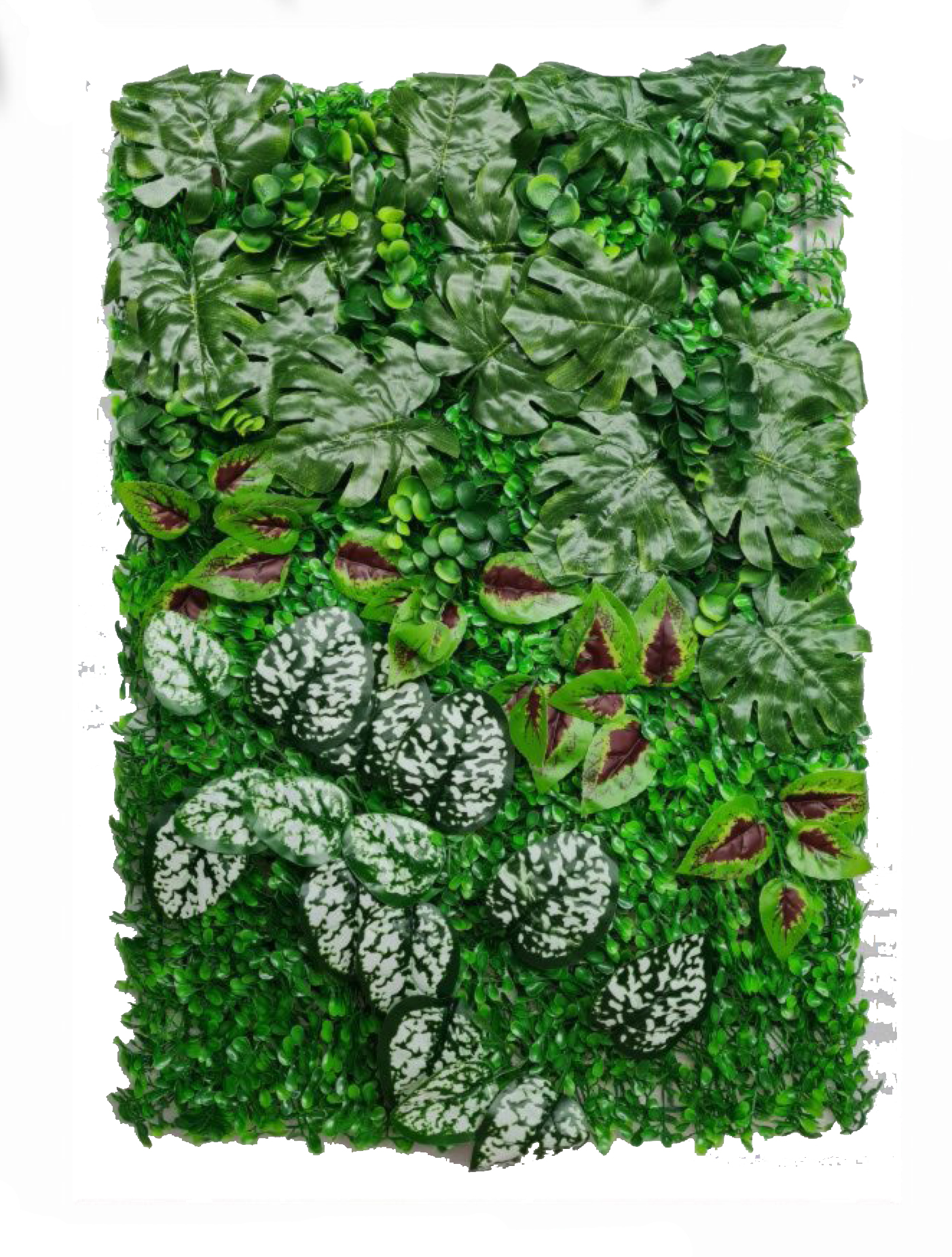 best vertical garden design, Meerut vertical garden design, vertical garden agency in Meerut, top vertical garden company Meerut, best vertical garden services Meerut