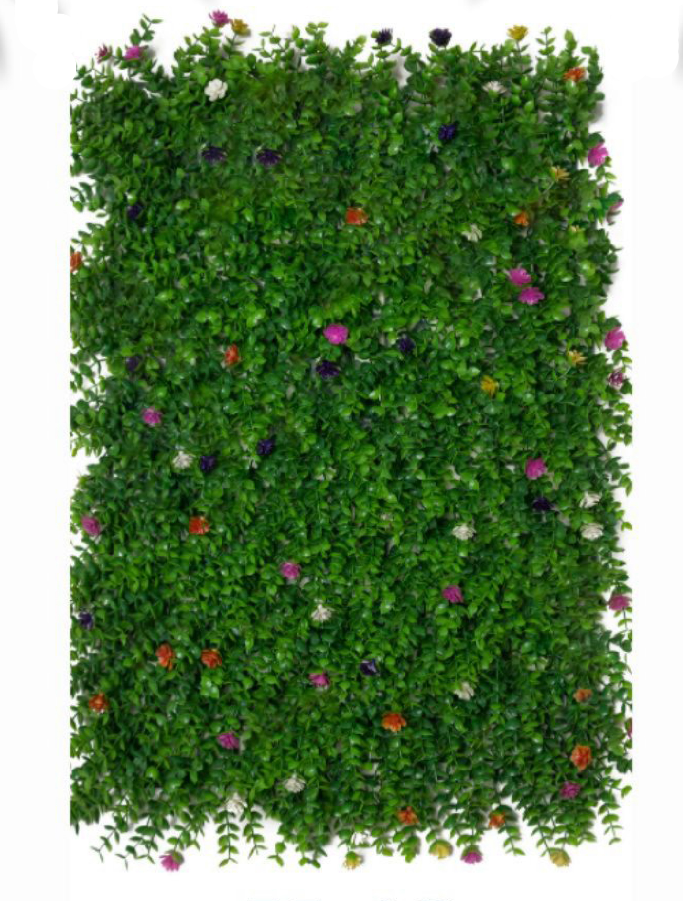 best vertical garden design, Meerut vertical garden design, vertical garden agency in Meerut, top vertical garden company Meerut, best vertical garden services Meerut