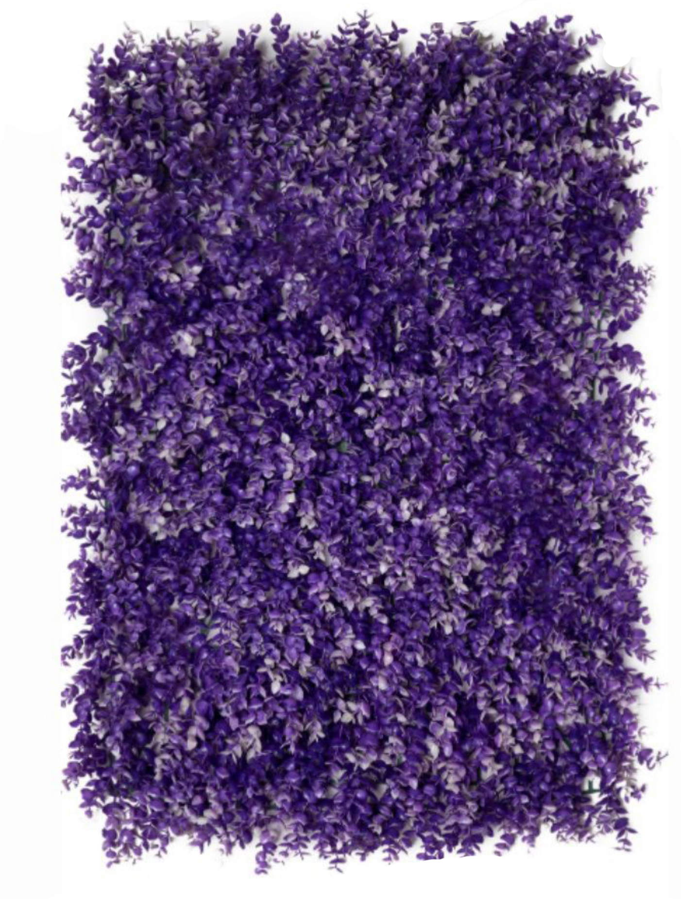 best vertical garden design, Meerut vertical garden design, vertical garden agency in Meerut, top vertical garden company Meerut, best vertical garden services Meerut