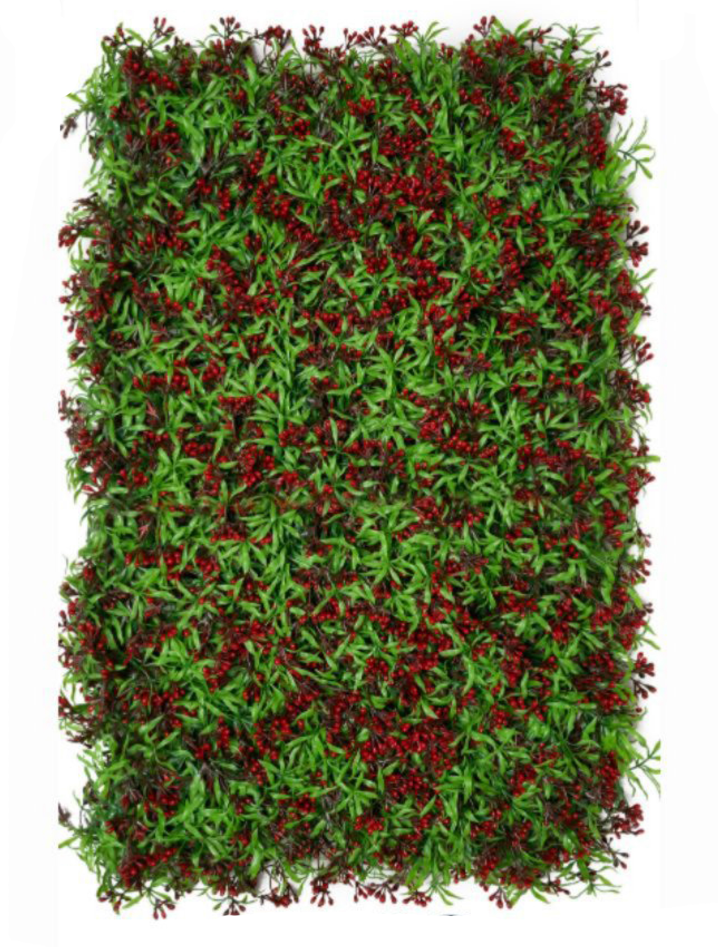 best vertical garden design, Meerut vertical garden design, vertical garden agency in Meerut, top vertical garden company Meerut, best vertical garden services Meerut