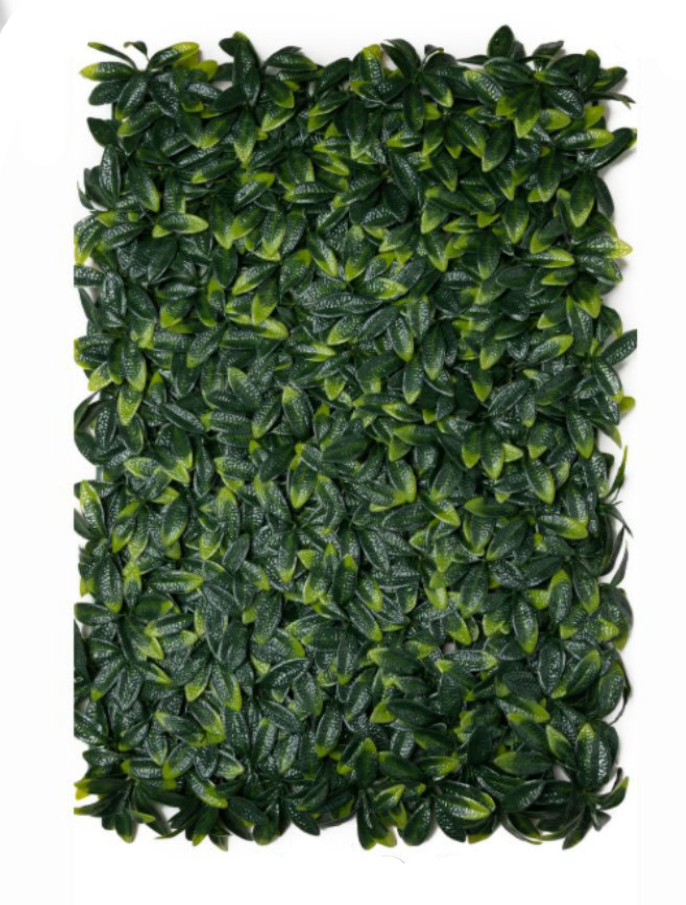 best vertical garden design, Meerut vertical garden design, vertical garden agency in Meerut, top vertical garden company Meerut, best vertical garden services Meerut