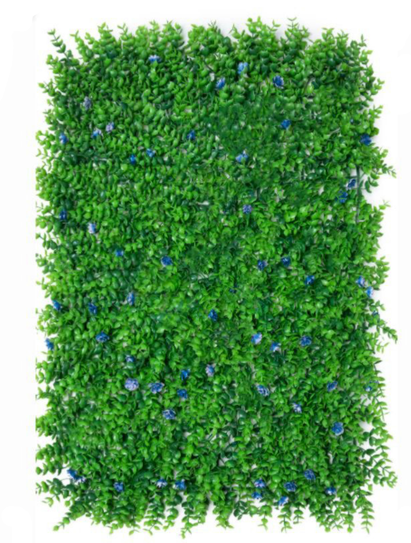 best vertical garden design, Meerut vertical garden design, vertical garden agency in Meerut, top vertical garden company Meerut, best vertical garden services Meerut