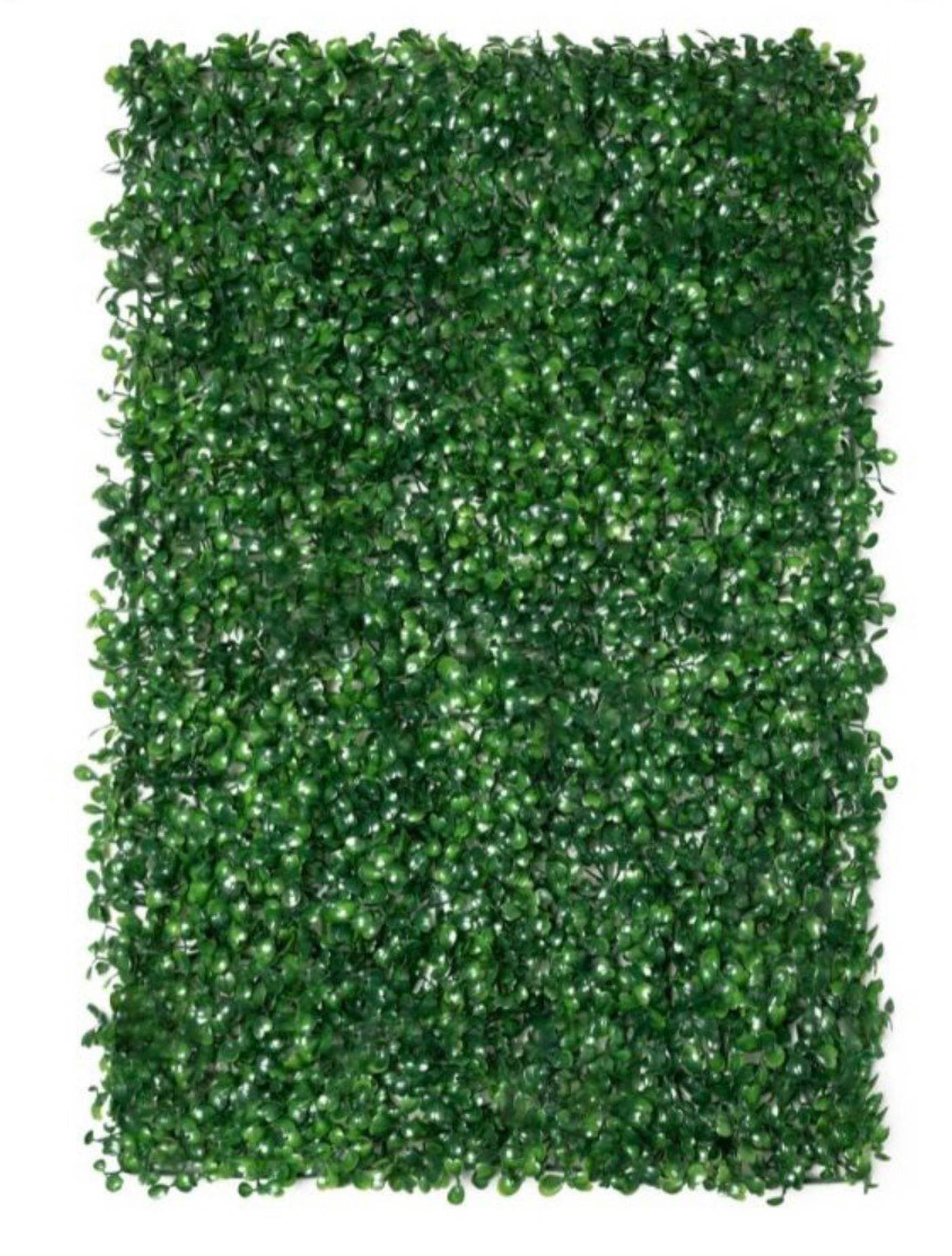 best vertical garden design, Meerut vertical garden design, vertical garden agency in Meerut, top vertical garden company Meerut, best vertical garden services Meerut