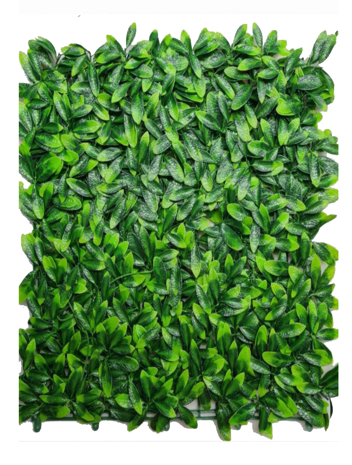 best vertical garden design, Meerut vertical garden design, vertical garden agency in Meerut, top vertical garden company Meerut, best vertical garden services Meerut