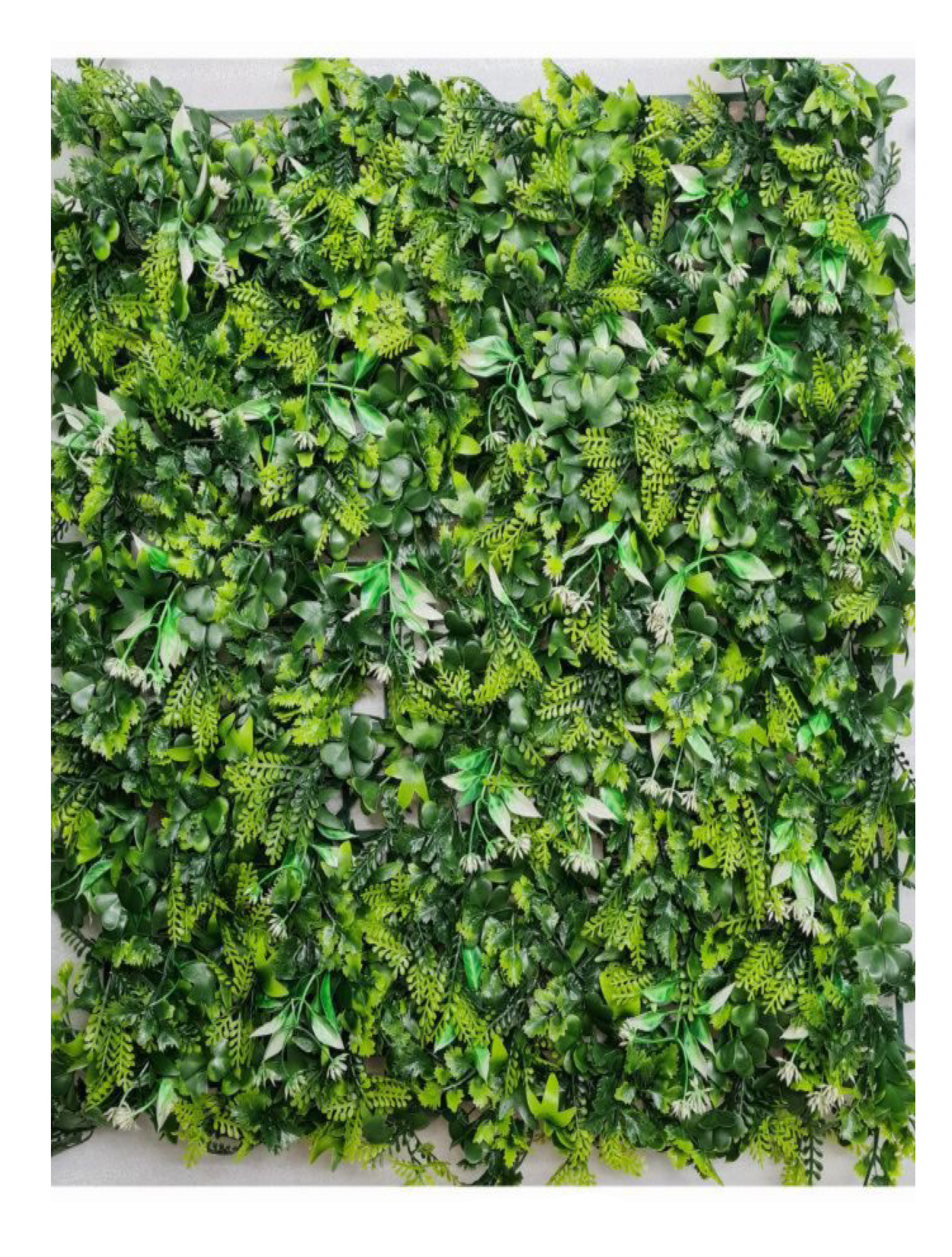 best vertical garden design, Meerut vertical garden design, vertical garden agency in Meerut, top vertical garden company Meerut, best vertical garden services Meerut
