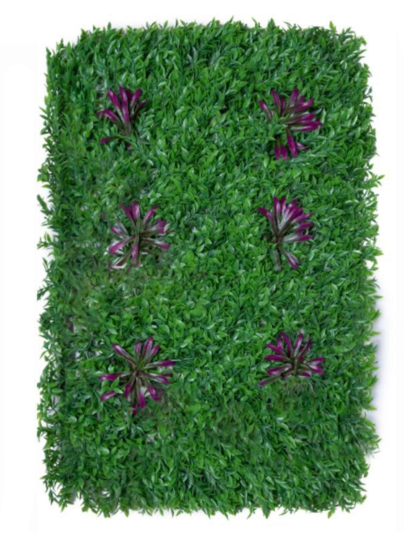 best vertical garden design, Meerut vertical garden design, vertical garden agency in Meerut, top vertical garden company Meerut, best vertical garden services Meerut