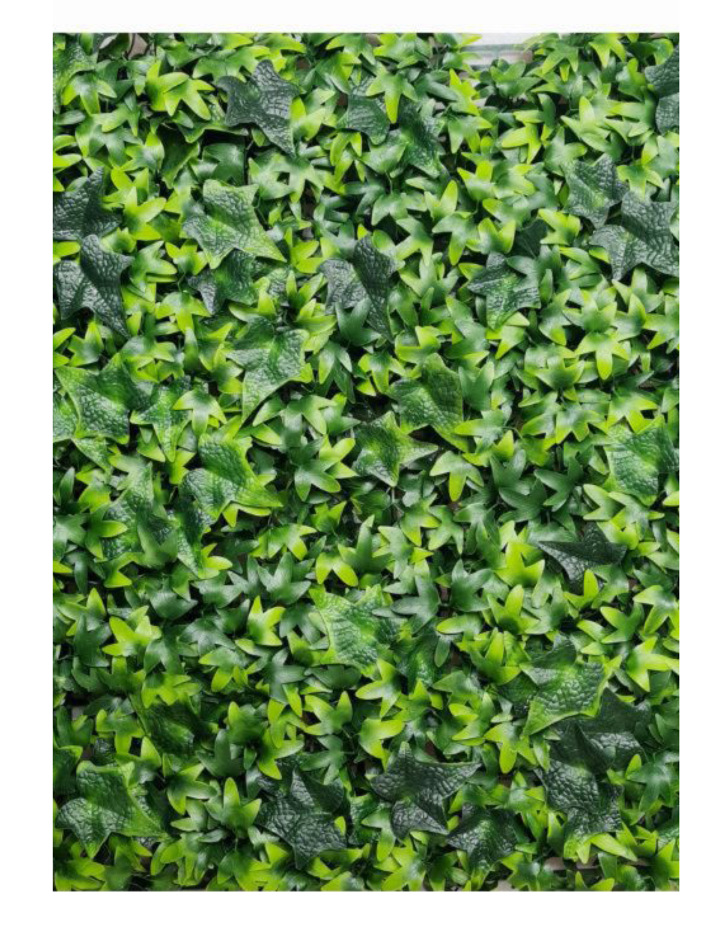 best vertical garden design, Meerut vertical garden design, vertical garden agency in Meerut, top vertical garden company Meerut, best vertical garden services Meerut