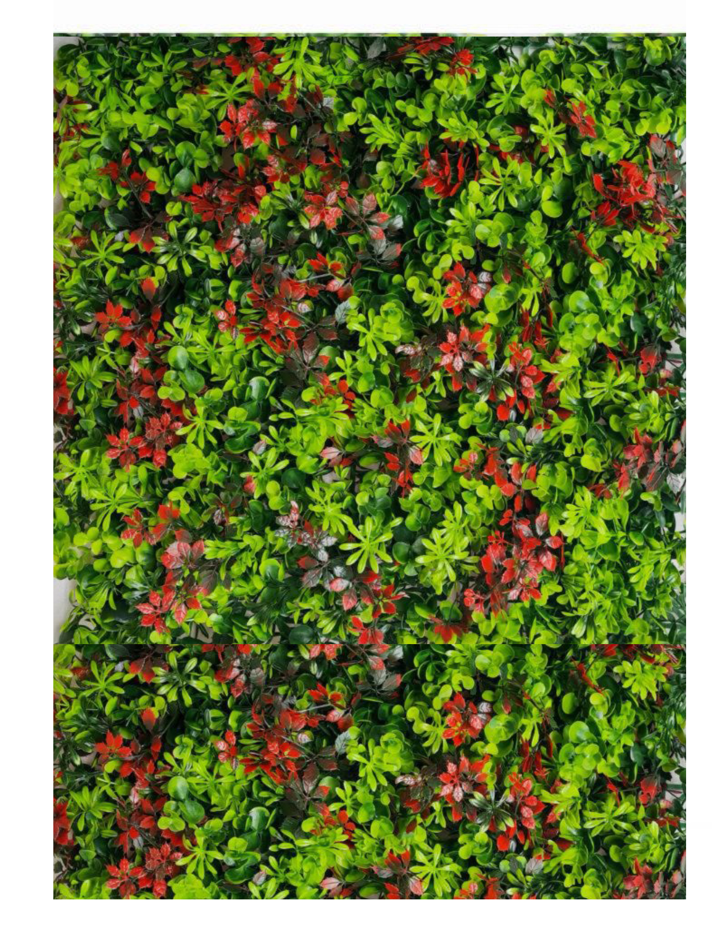 best vertical garden design, Meerut vertical garden design, vertical garden agency in Meerut, top vertical garden company Meerut, best vertical garden services Meerut