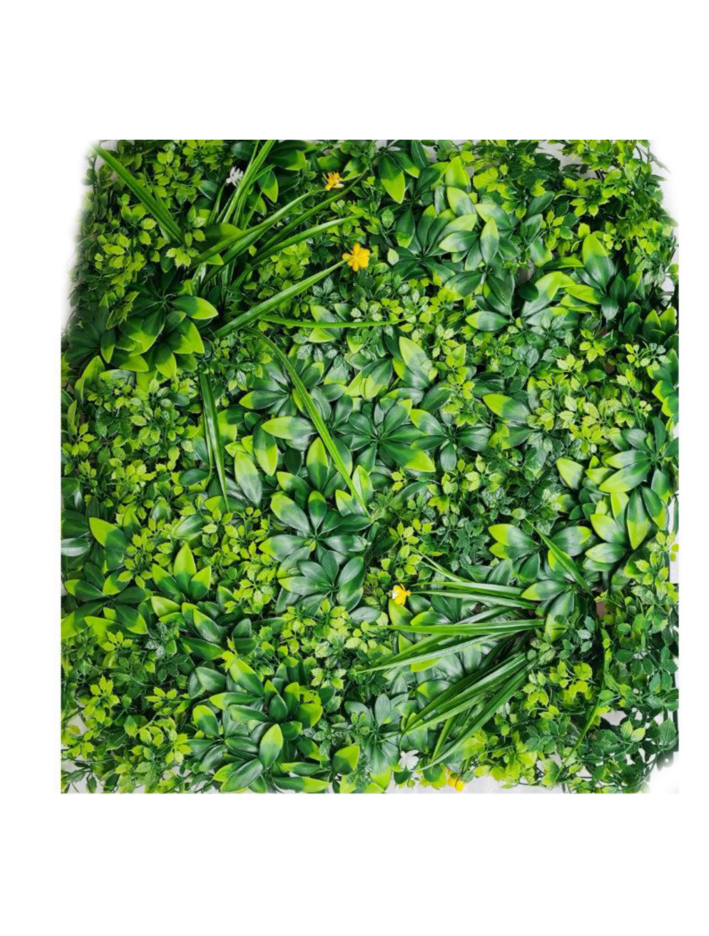 best vertical garden design, Meerut vertical garden design, vertical garden agency in Meerut, top vertical garden company Meerut, best vertical garden services Meerut