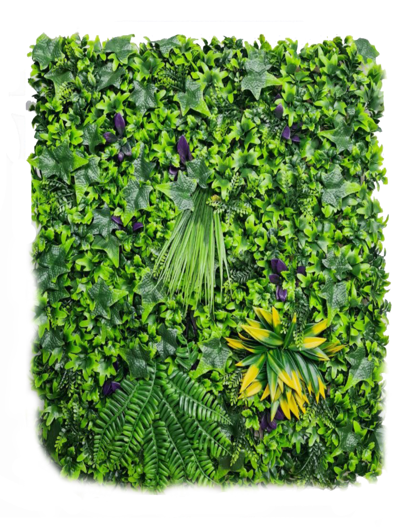 best vertical garden design, Meerut vertical garden design, vertical garden agency in Meerut, top vertical garden company Meerut, best vertical garden services Meerut