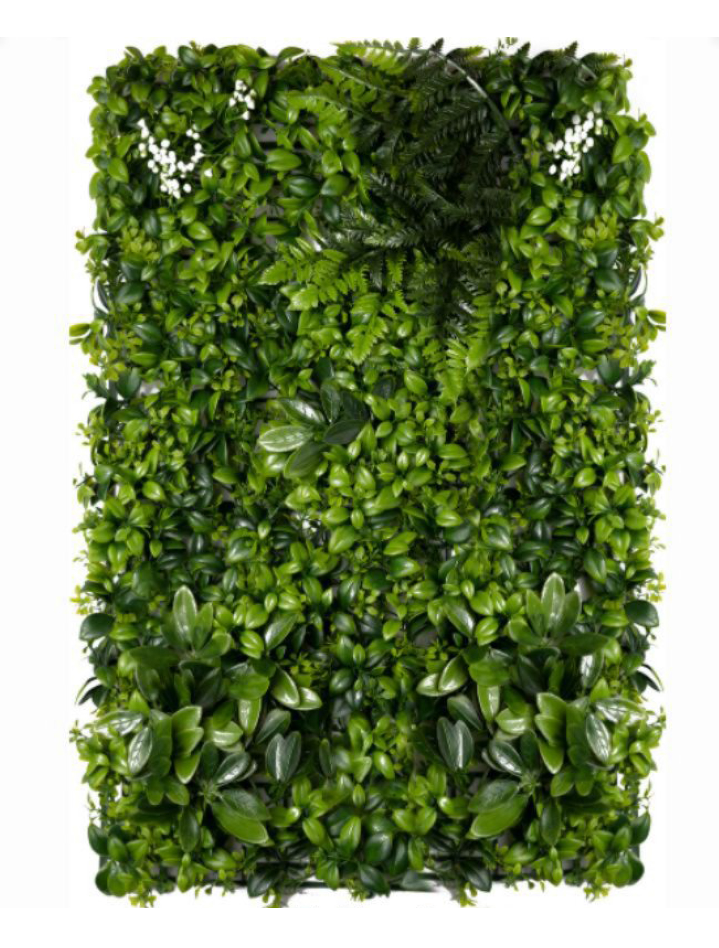 best vertical garden design, Meerut vertical garden design, vertical garden agency in Meerut, top vertical garden company Meerut, best vertical garden services Meerut