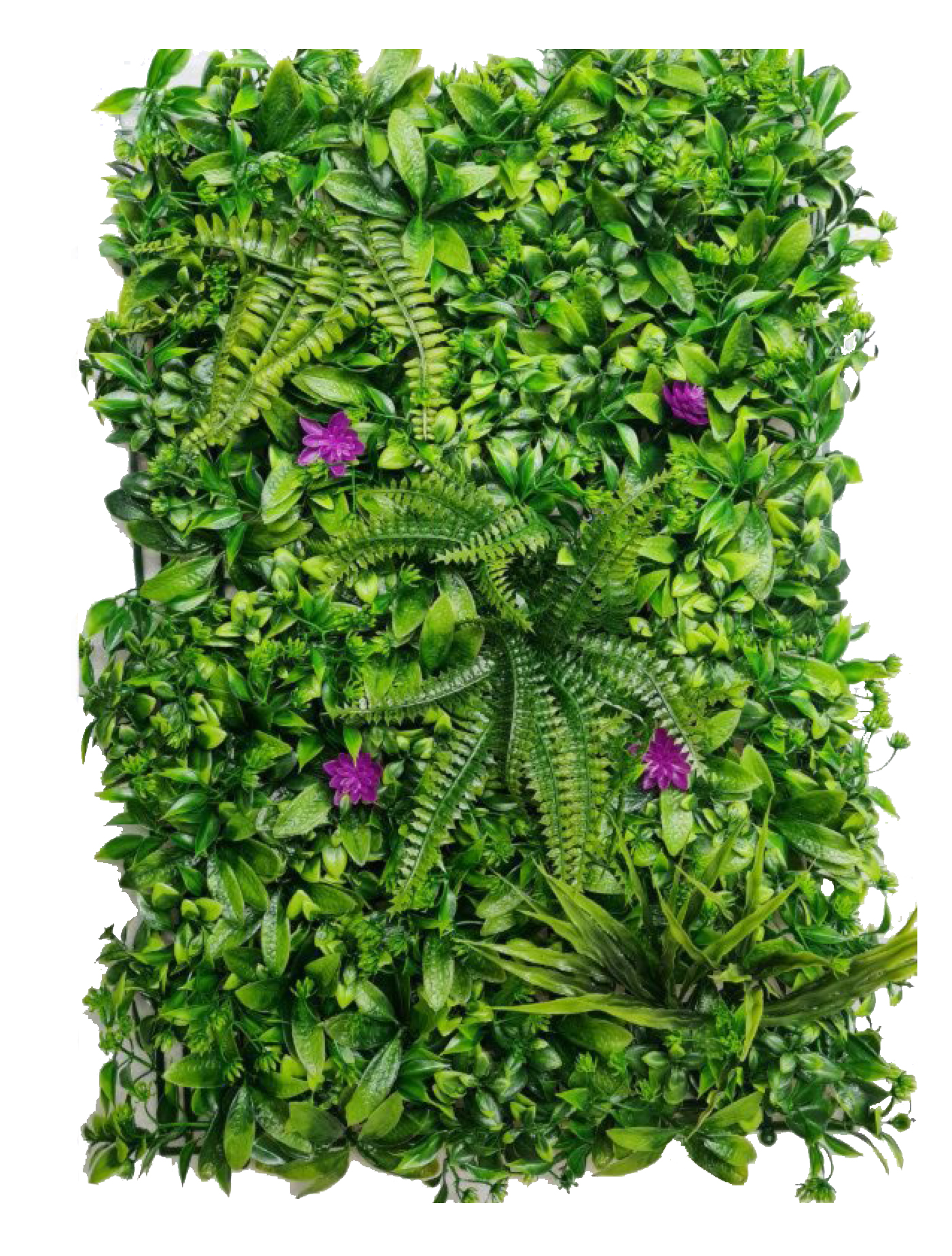 best vertical garden design, Meerut vertical garden design, vertical garden agency in Meerut, top vertical garden company Meerut, best vertical garden services Meerut