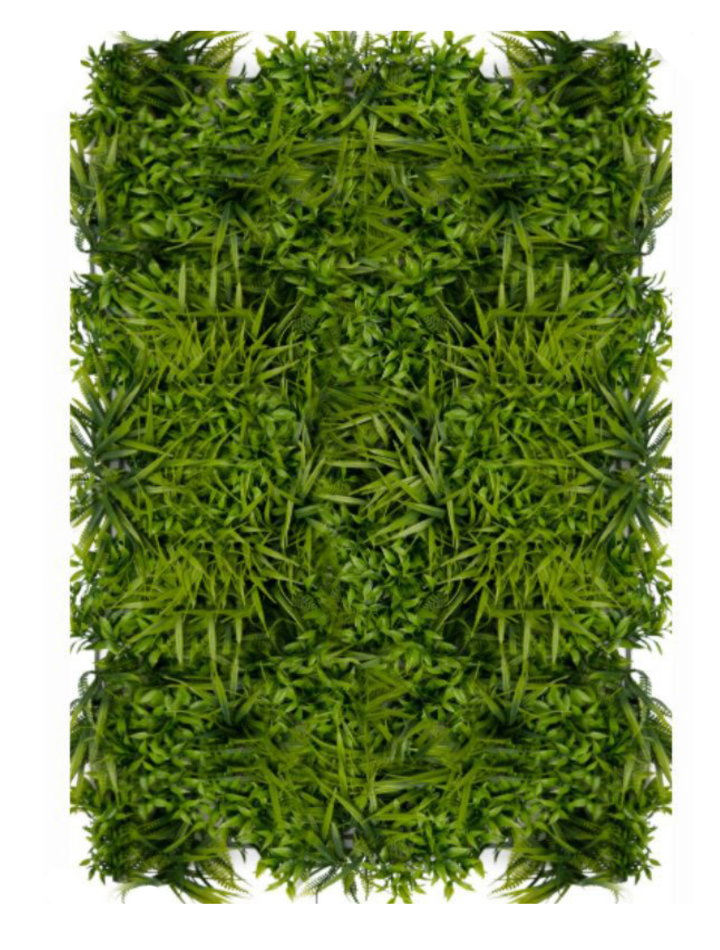 best vertical garden design, Meerut vertical garden design, vertical garden agency in Meerut, top vertical garden company Meerut, best vertical garden services Meerut