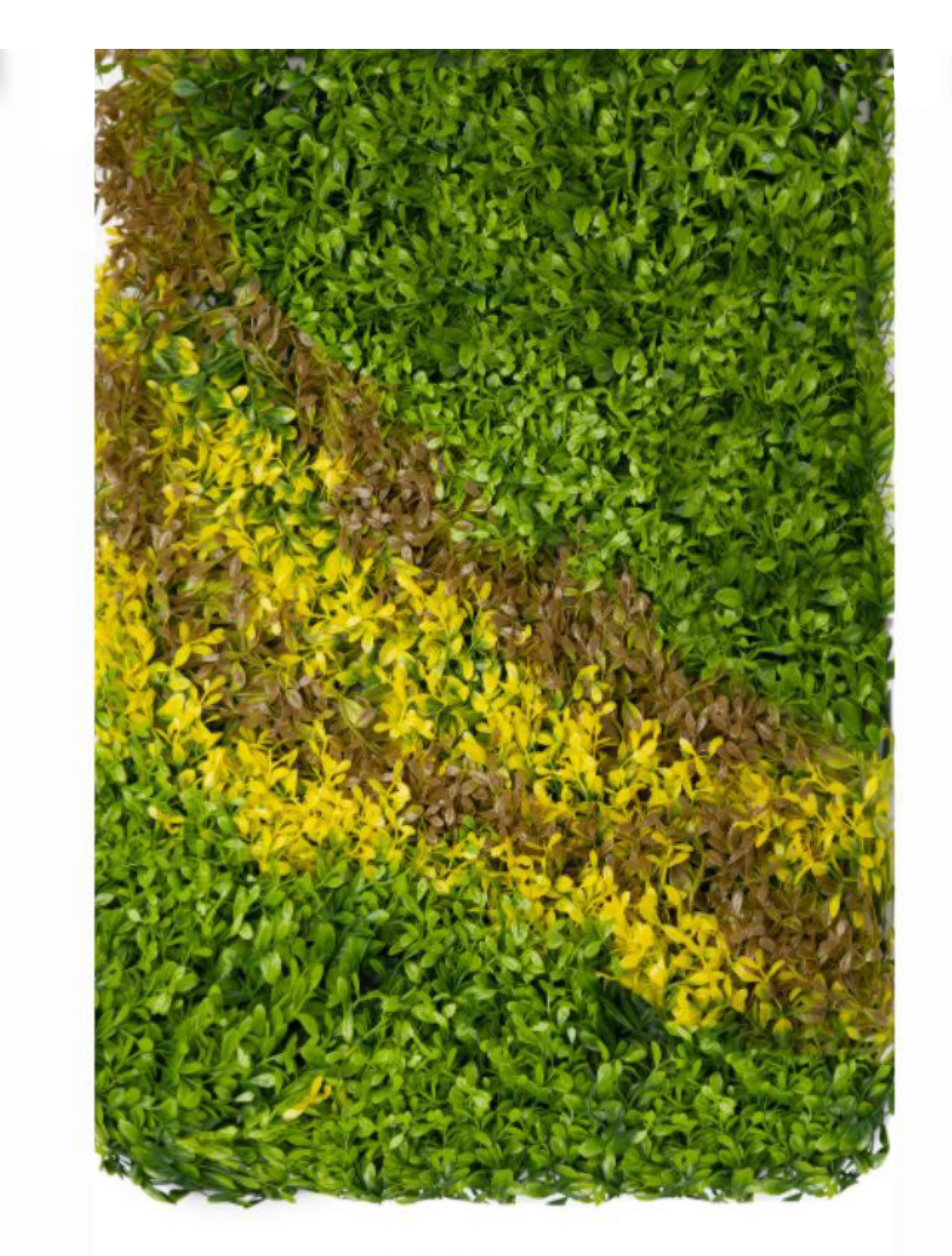 best vertical garden design, Meerut vertical garden design, vertical garden agency in Meerut, top vertical garden company Meerut, best vertical garden services Meerut