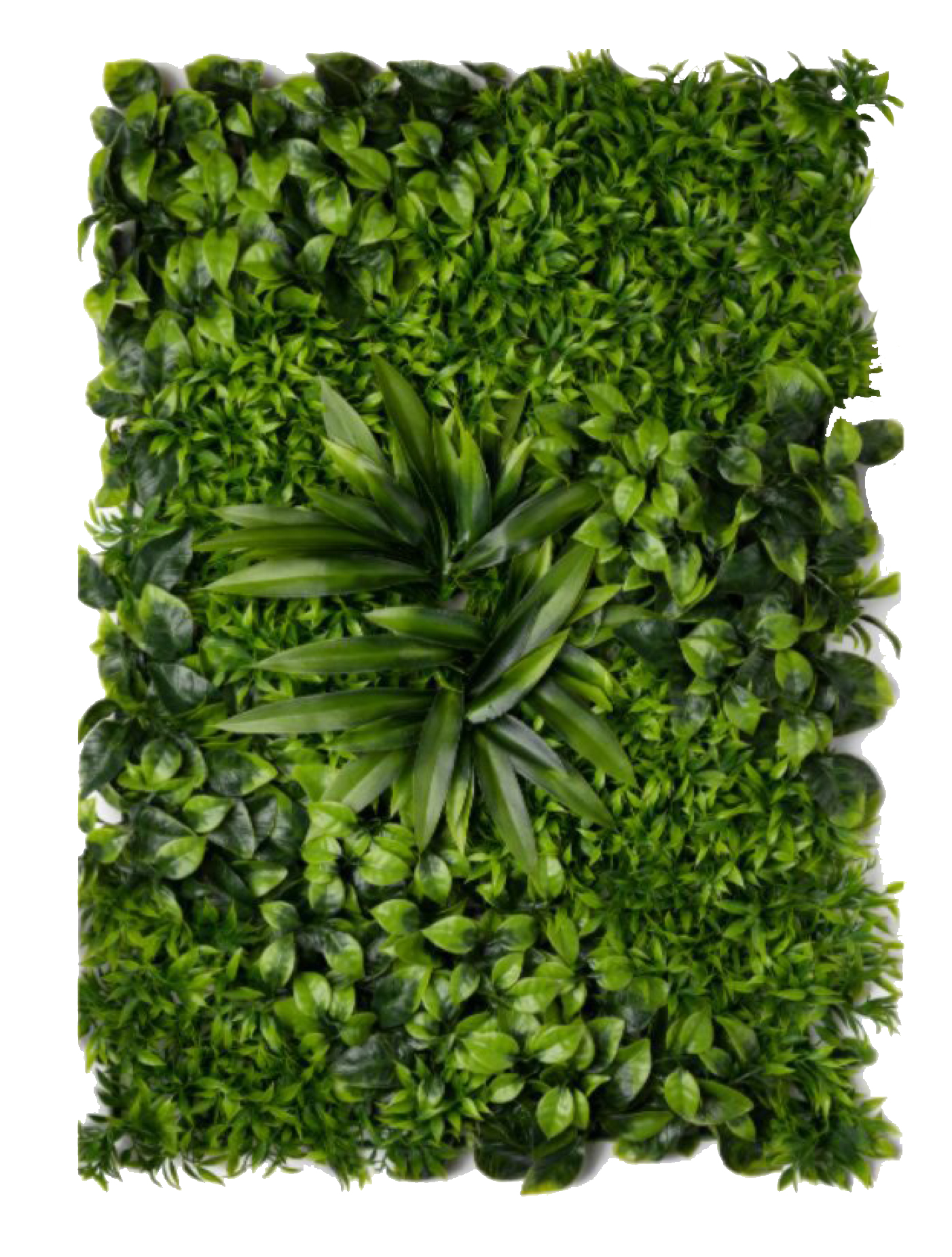 best vertical garden design, Meerut vertical garden design, vertical garden agency in Meerut, top vertical garden company Meerut, best vertical garden services Meerut