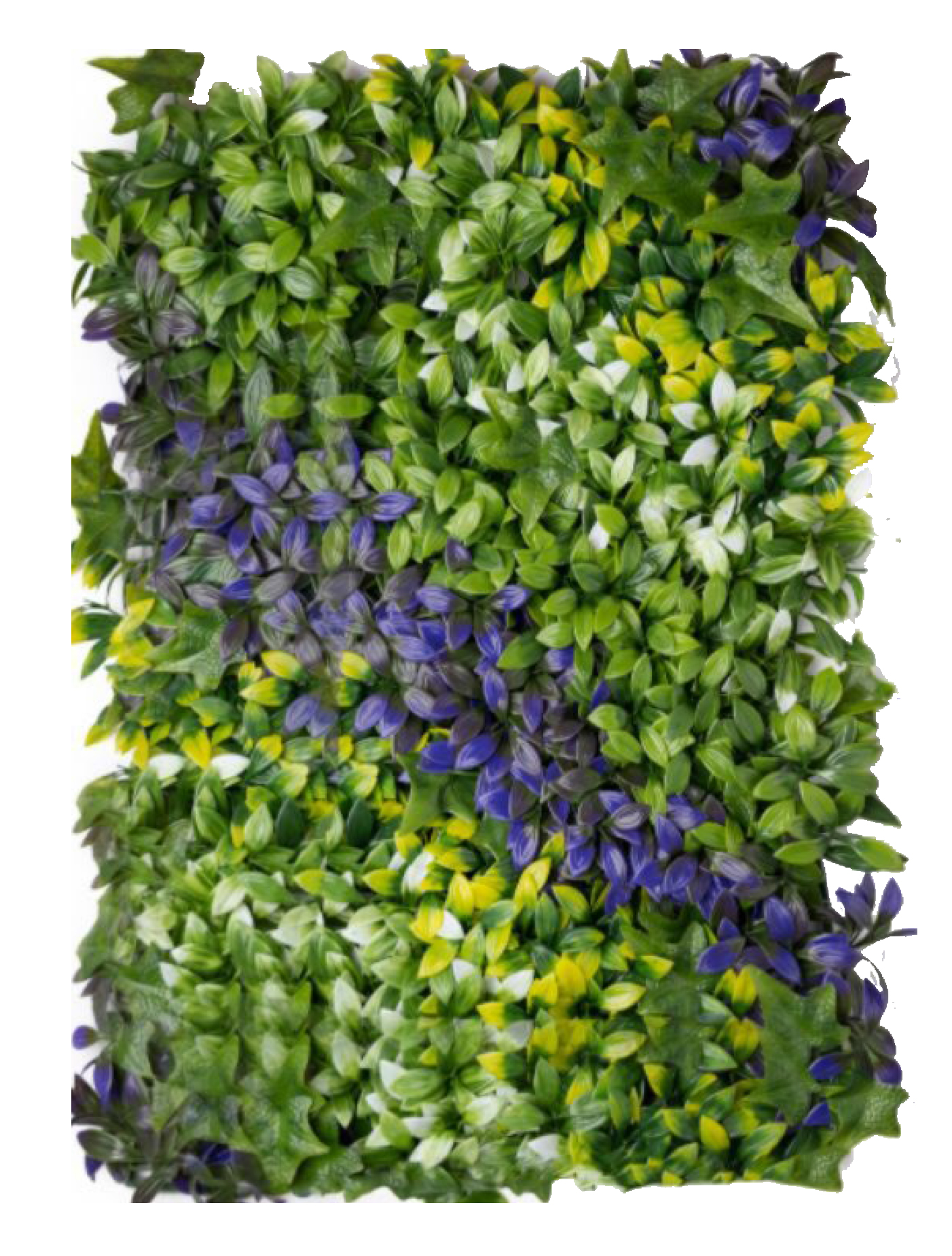 best vertical garden design, Meerut vertical garden design, vertical garden agency in Meerut, top vertical garden company Meerut, best vertical garden services Meerut