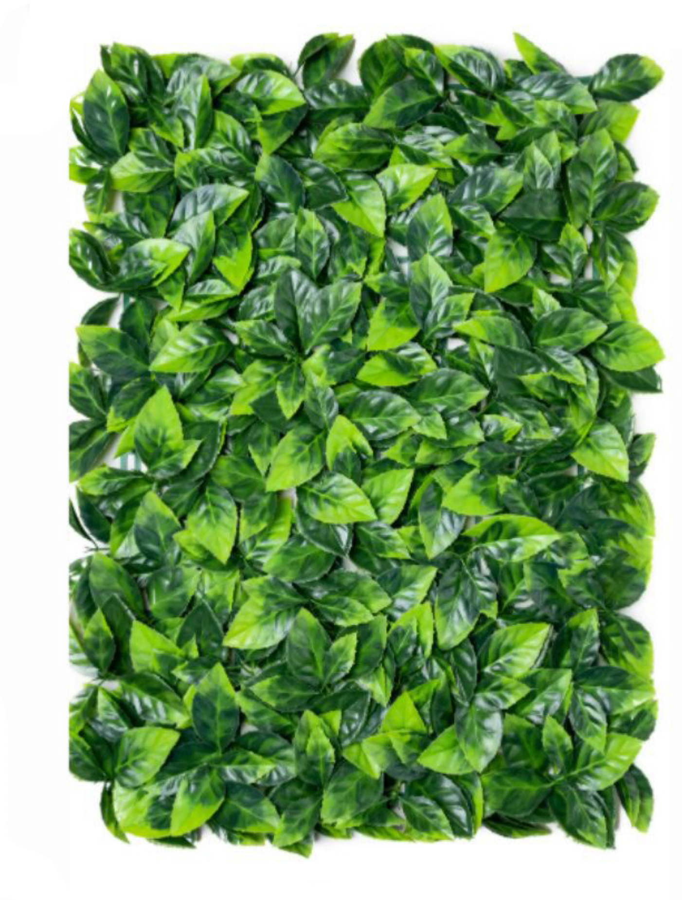 best vertical garden design, Meerut vertical garden design, vertical garden agency in Meerut, top vertical garden company Meerut, best vertical garden services Meerut