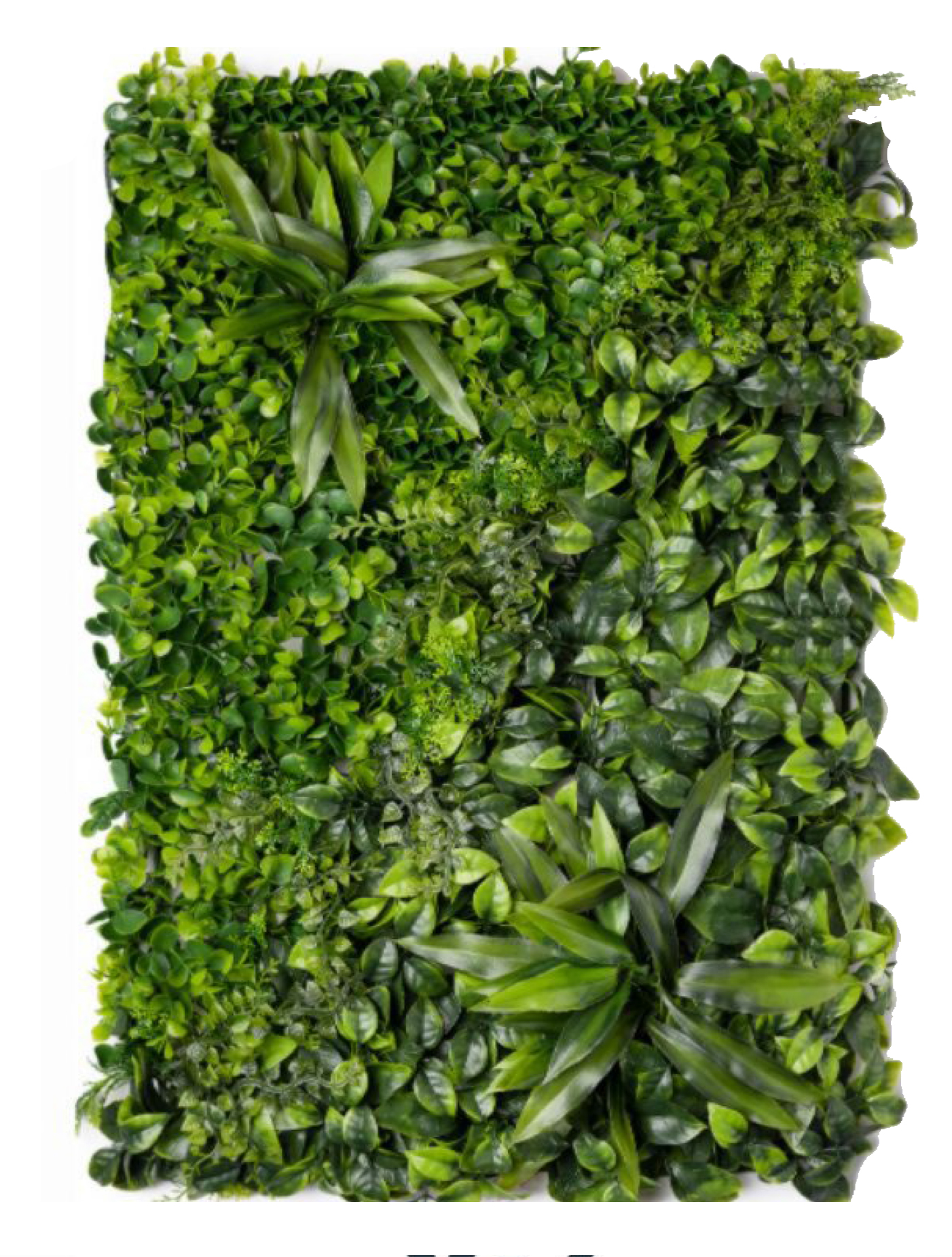 best vertical garden design, Meerut vertical garden design, vertical garden agency in Meerut, top vertical garden company Meerut, best vertical garden services Meerut