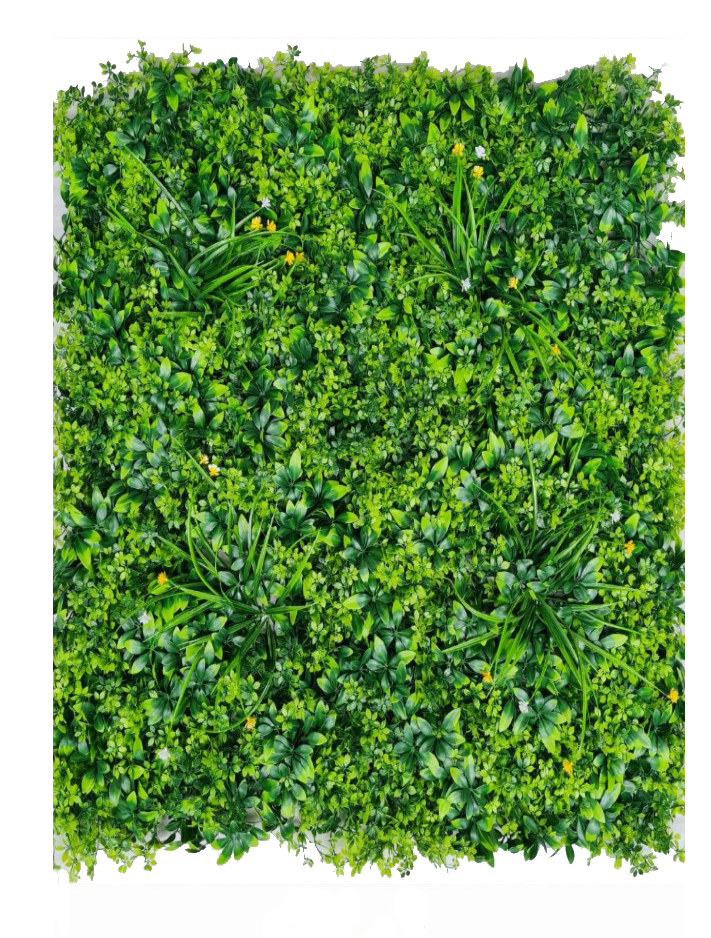 best vertical garden design, Meerut vertical garden design, vertical garden agency in Meerut, top vertical garden company Meerut, best vertical garden services Meerut