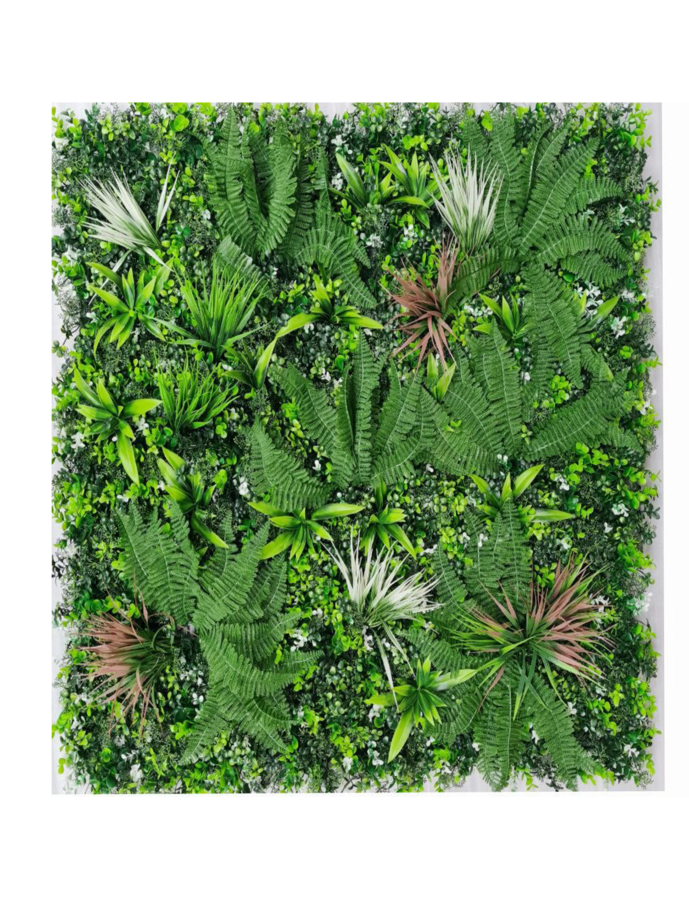 best vertical garden design, Meerut vertical garden design, vertical garden agency in Meerut, top vertical garden company Meerut, best vertical garden services Meerut