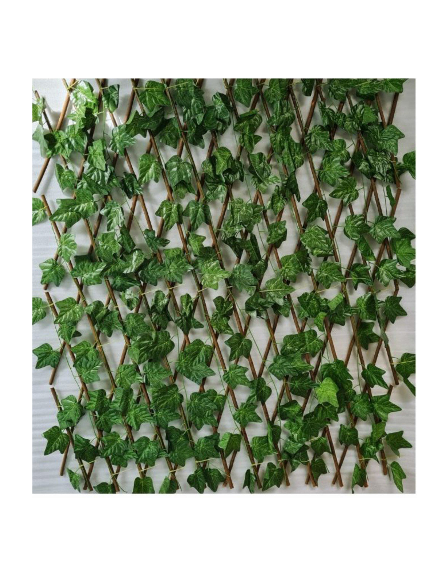 best vertical garden design, Meerut vertical garden design, vertical garden agency in Meerut, top vertical garden company Meerut, best vertical garden services Meerut