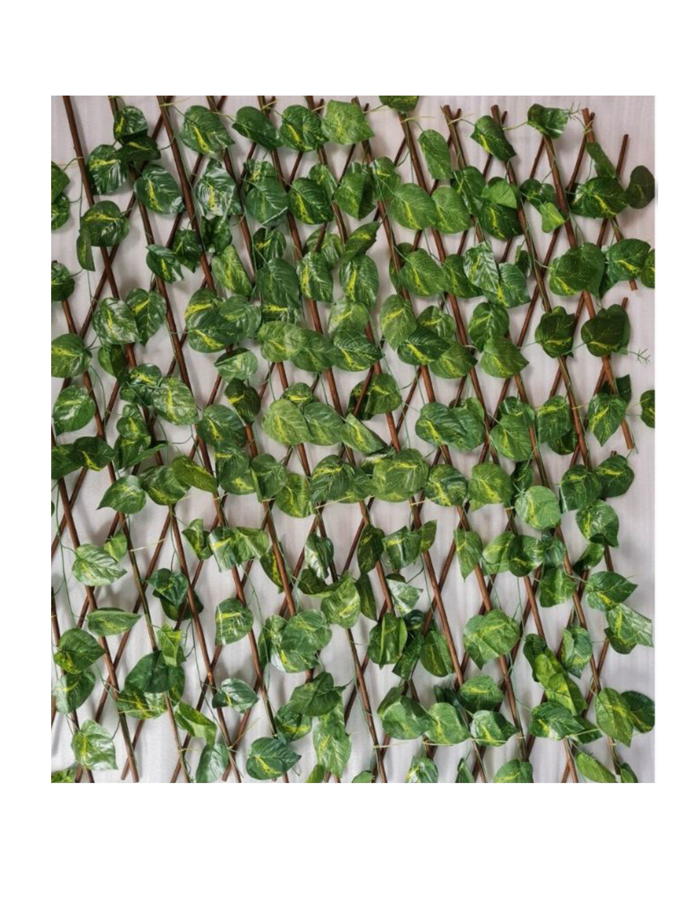 best vertical garden design, Meerut vertical garden design, vertical garden agency in Meerut, top vertical garden company Meerut, best vertical garden services Meerut