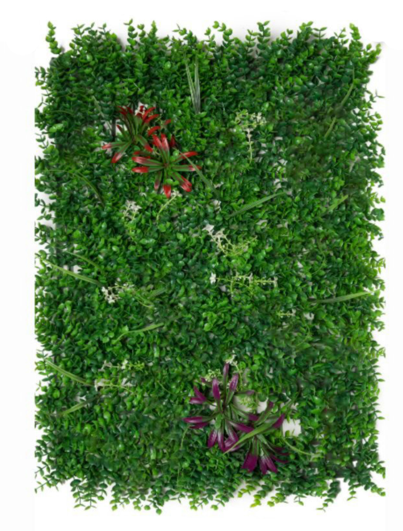 best vertical garden design, Meerut vertical garden design, vertical garden agency in Meerut, top vertical garden company Meerut, best vertical garden services Meerut