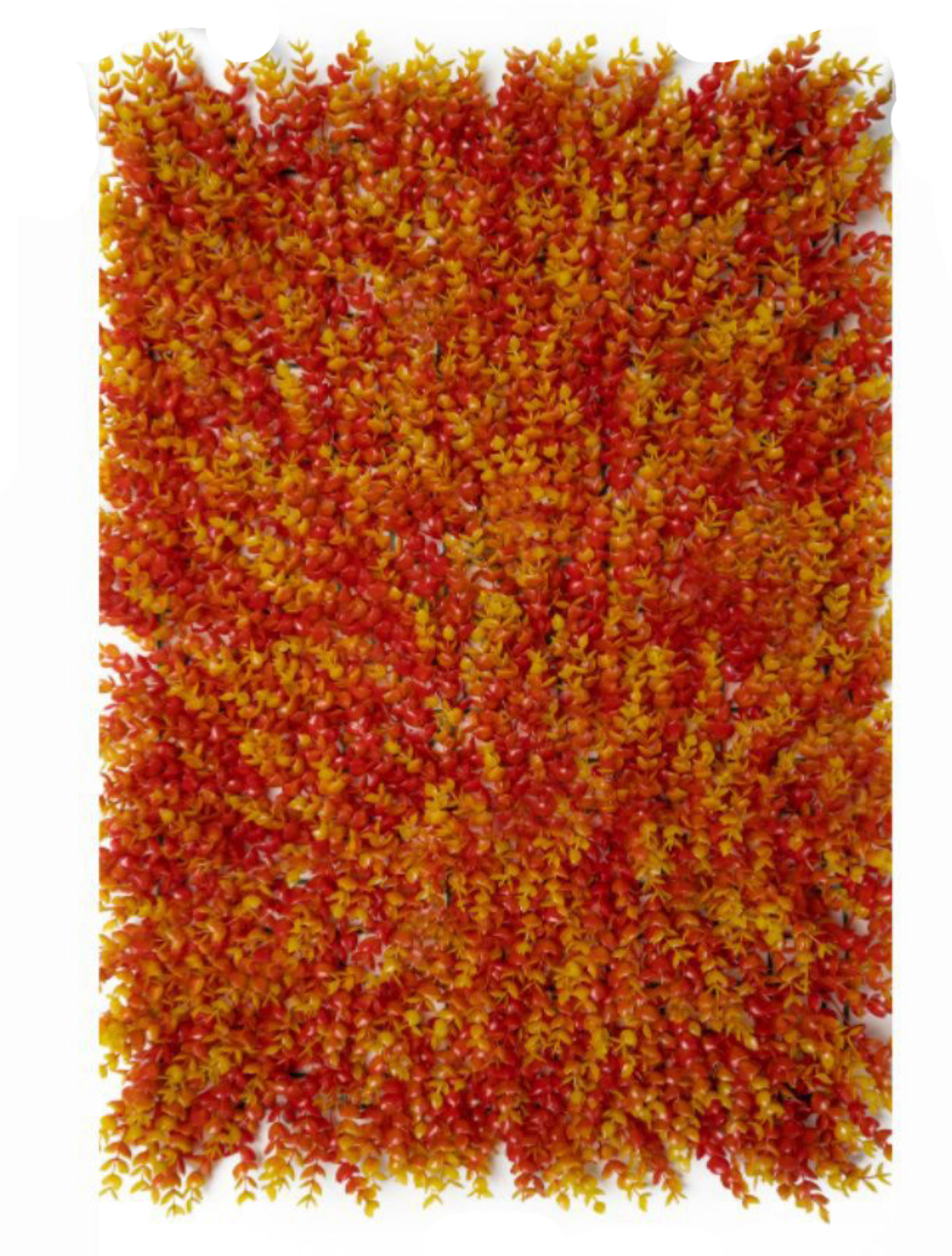 best vertical garden design, Meerut vertical garden design, vertical garden agency in Meerut, top vertical garden company Meerut, best vertical garden services Meerut