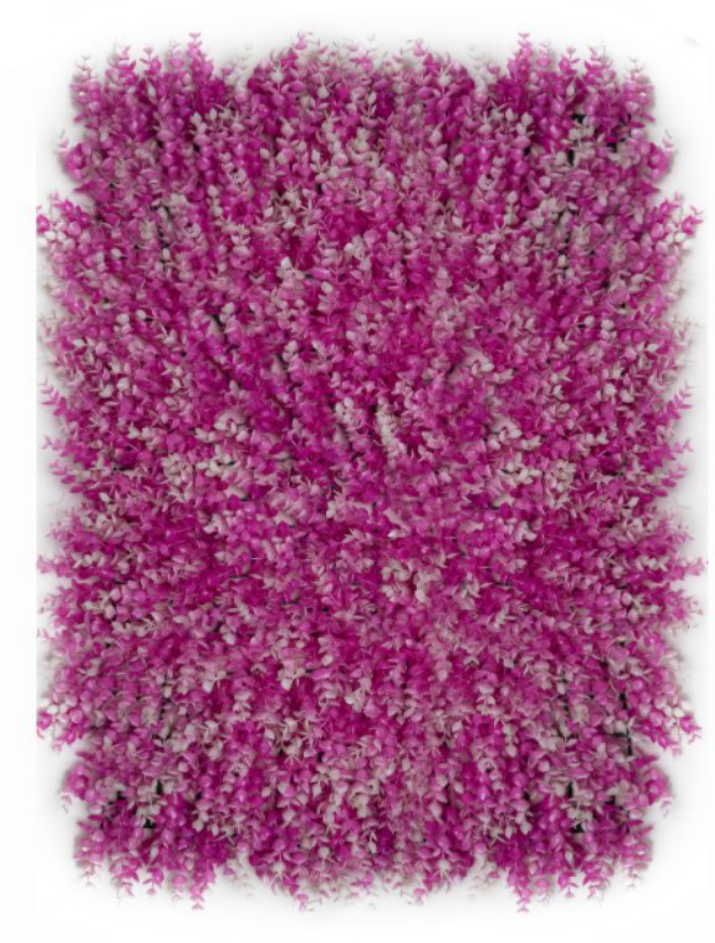 best vertical garden design, Meerut vertical garden design, vertical garden agency in Meerut, top vertical garden company Meerut, best vertical garden services Meerut