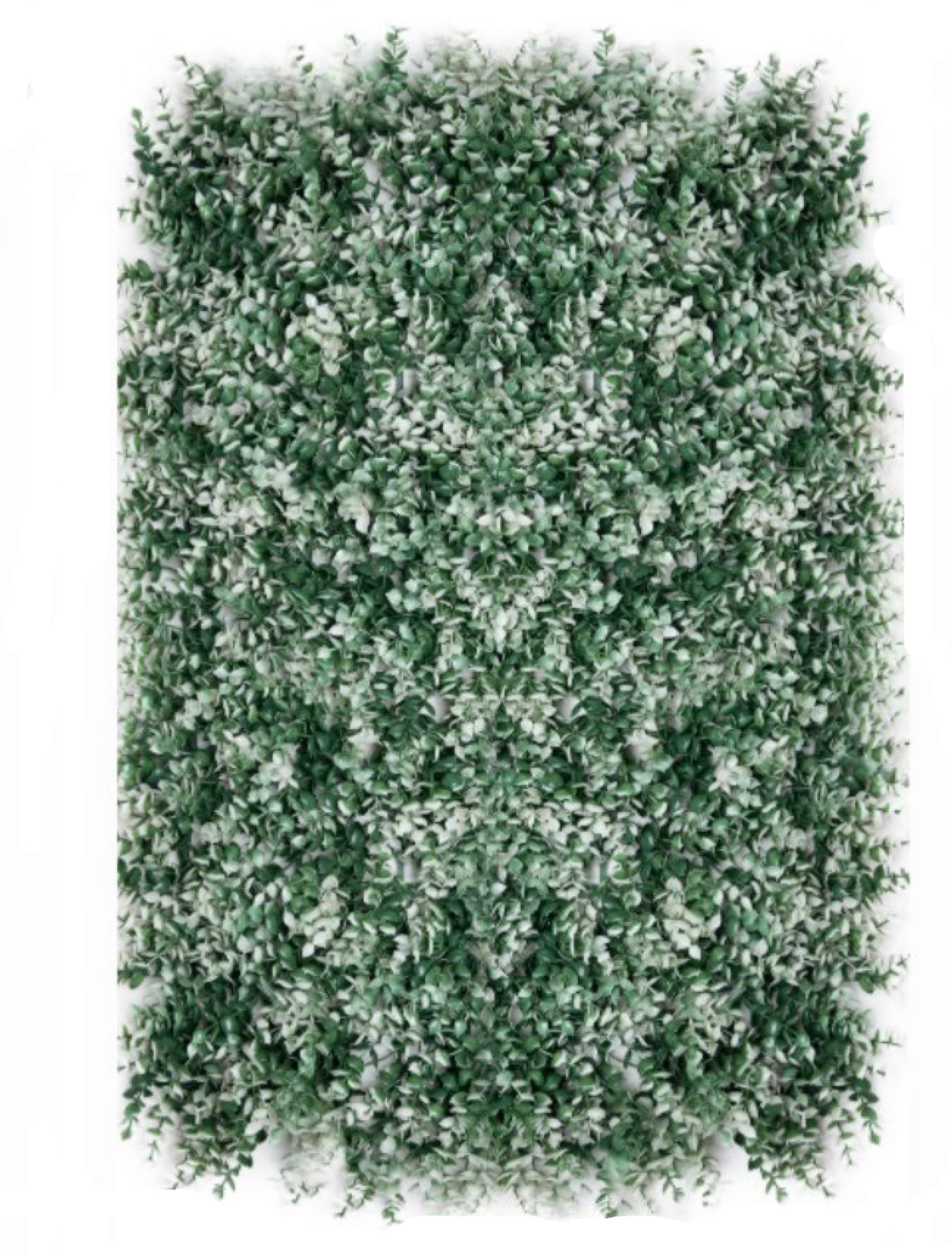 best vertical garden design, Meerut vertical garden design, vertical garden agency in Meerut, top vertical garden company Meerut, best vertical garden services Meerut