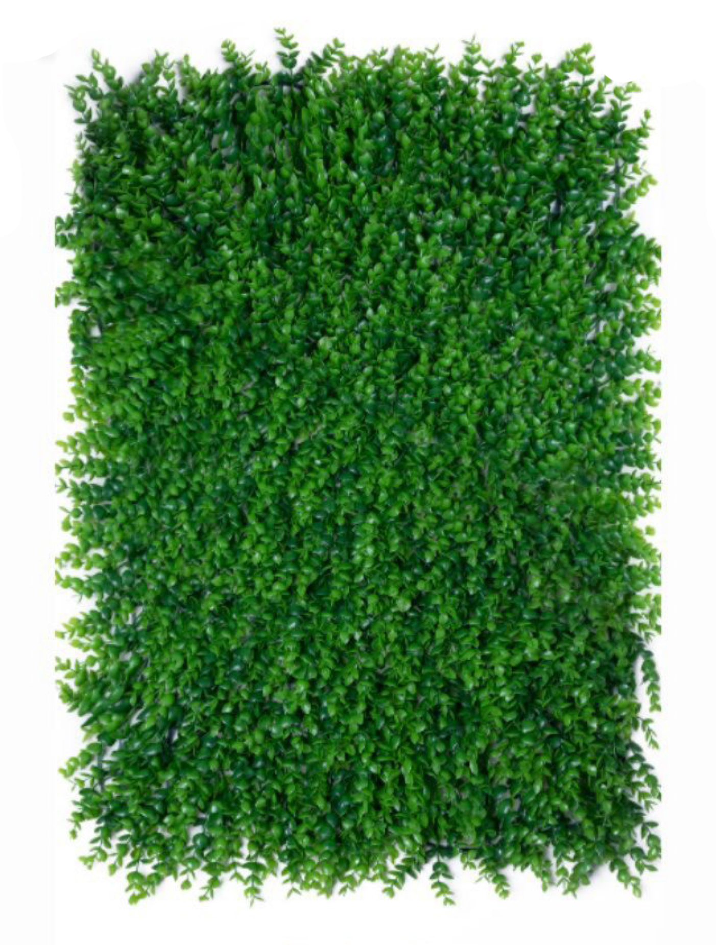 best vertical garden design, Meerut vertical garden design, vertical garden agency in Meerut, top vertical garden company Meerut, best vertical garden services Meerut